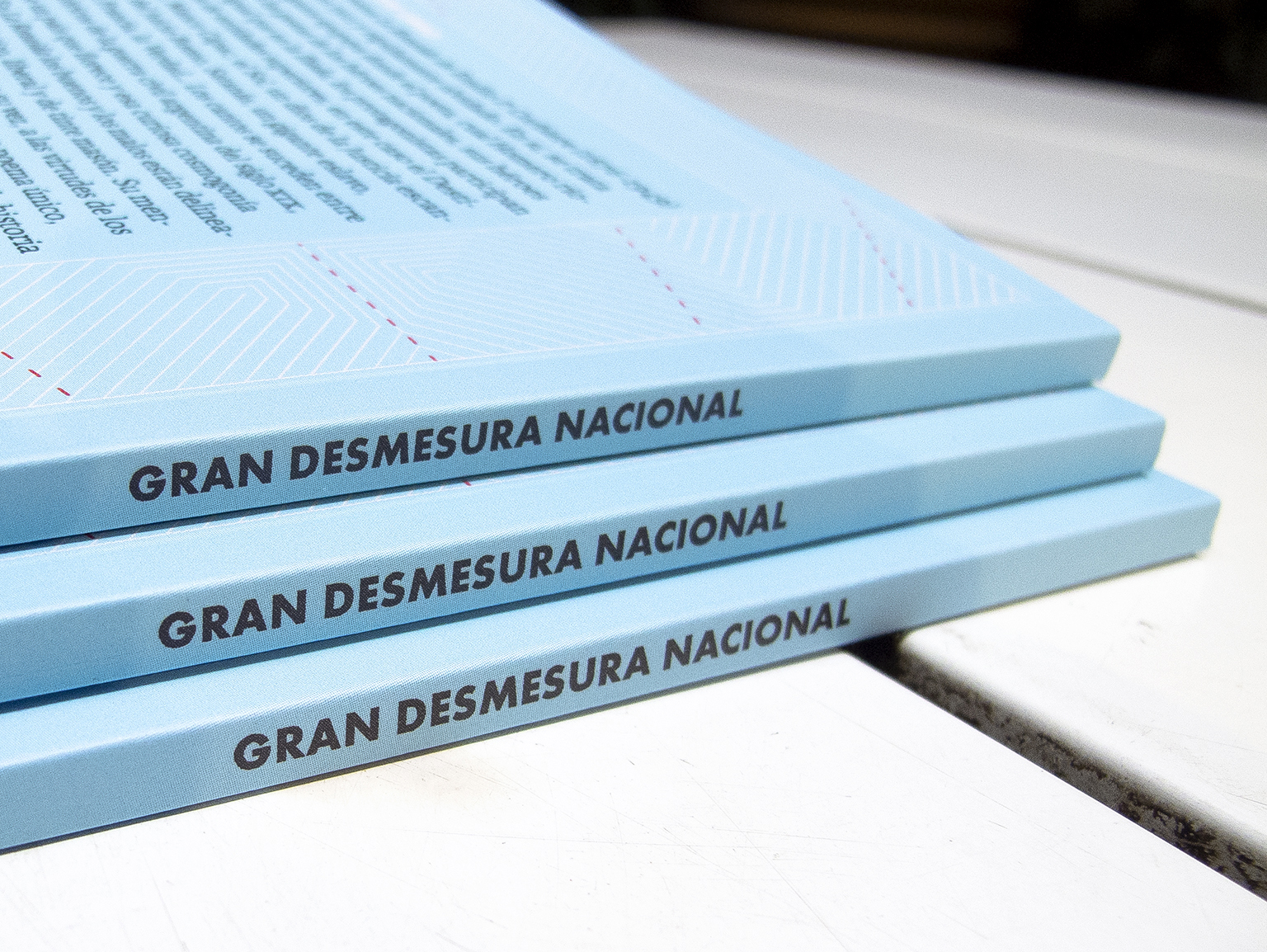 Gran Desmesura Nacional is an essay by Vicente Mario di Maggio on the poem La Rozaida by Emilio P. Corbiere