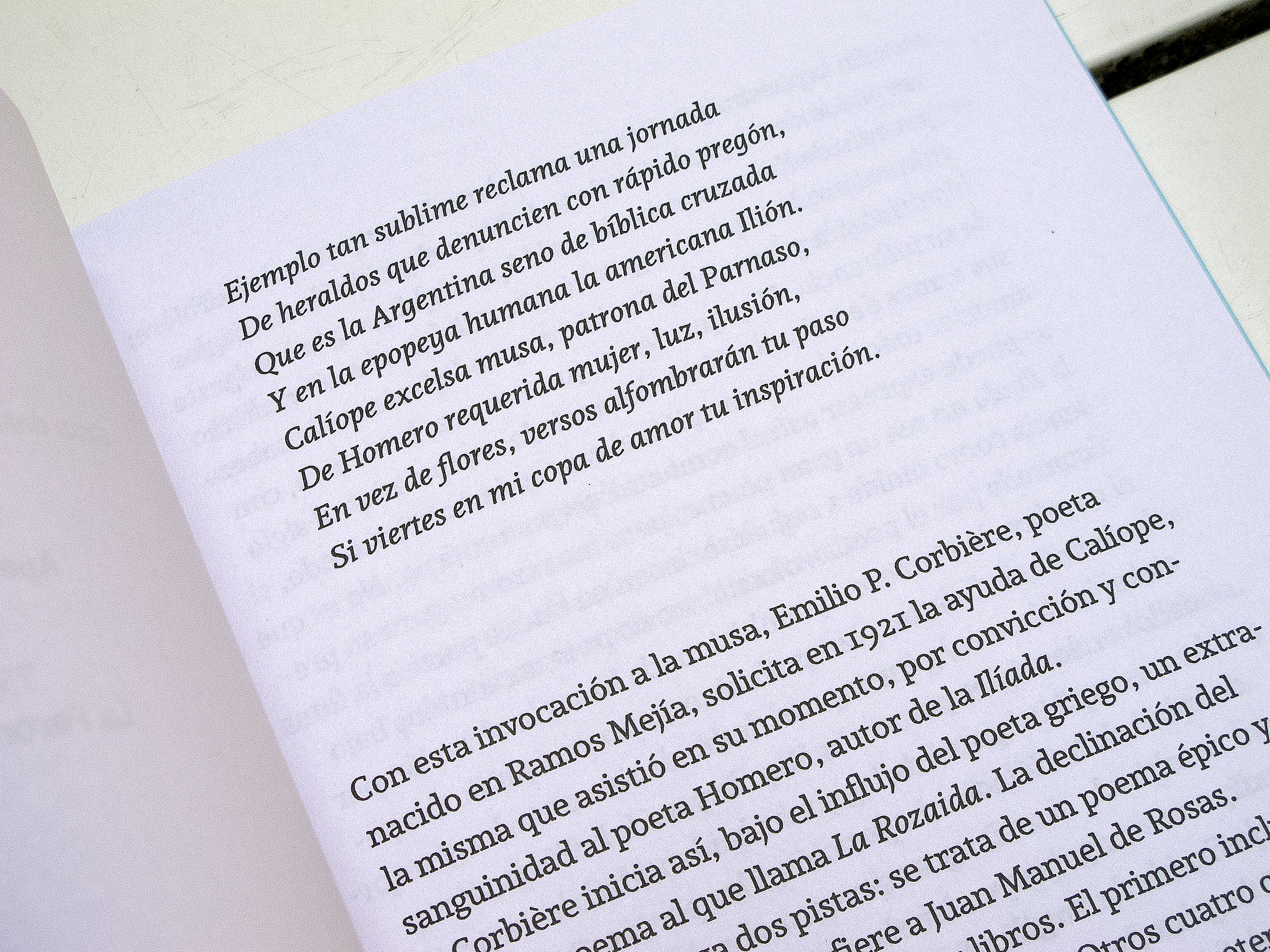 Gran Desmesura Nacional is an essay by Vicente Mario di Maggio on the poem La Rozaida by Emilio P. Corbiere